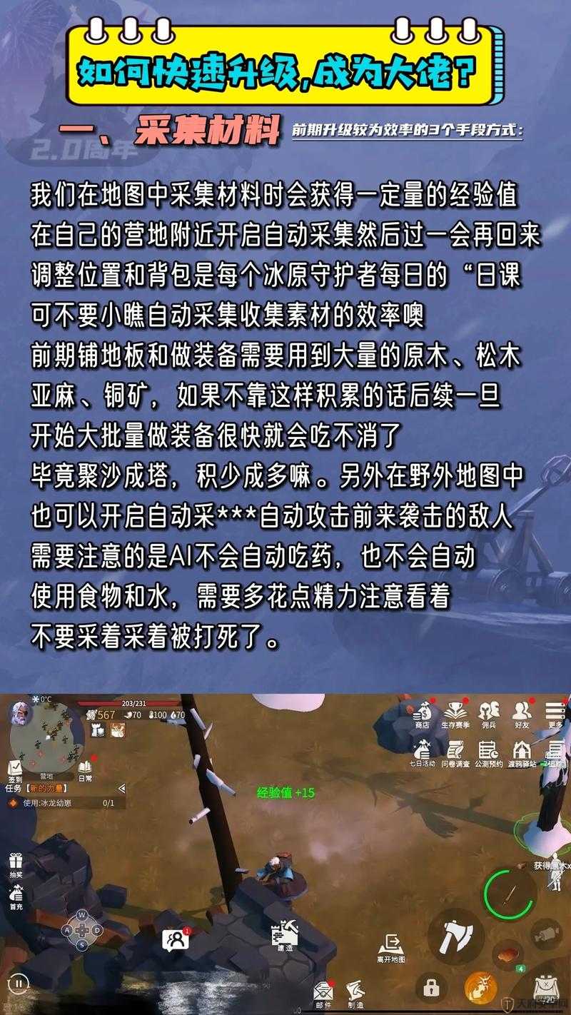 冰原守卫者游戏攻略，揭秘快速获得经验值的高效方法与技巧