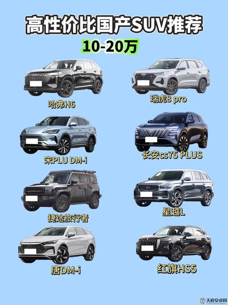 国产 SUV 精二区 69：一款备受瞩目的国产 SUV 车型介绍